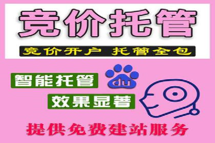 解析SEM竞价代运营公司的技术实力与服务优势